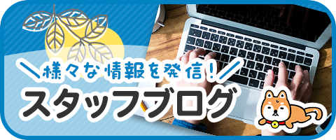 スタッフブログ