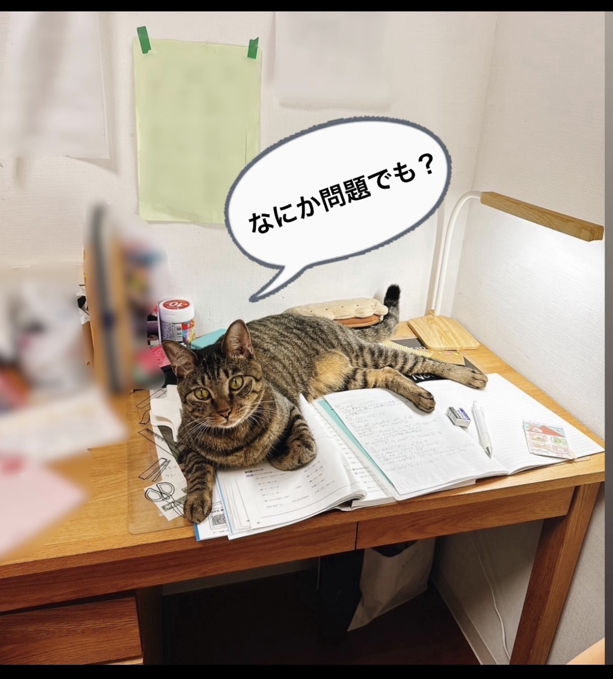 現場を押さえました