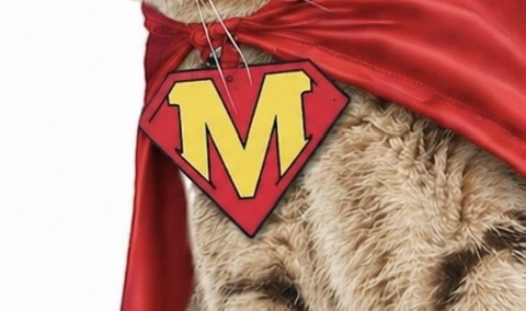 予告：ゴールデンウィーク明けに当ホームページに「お助けニャン」が登場する・・！？