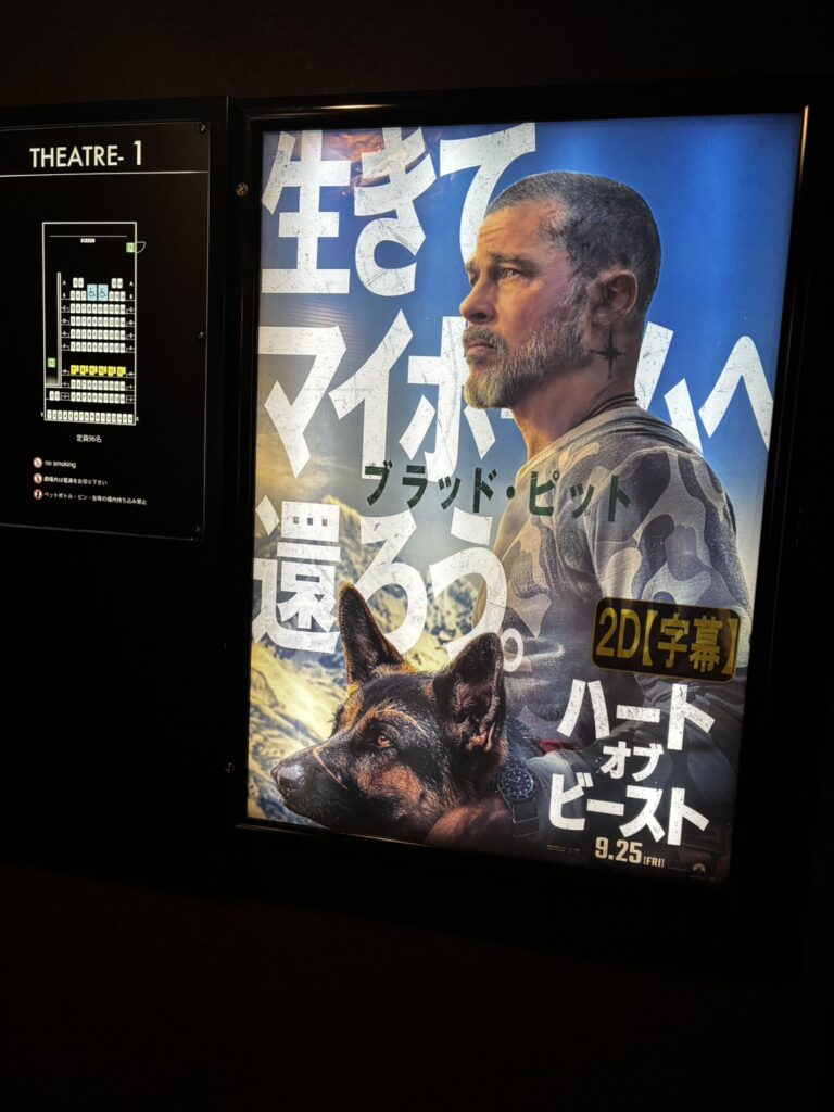 秋の三連休に初挑戦したこと🎥